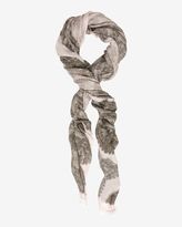Thumbnail for your product : Salviati Dianora Lace Print Scarf
