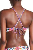 Thumbnail for your product : Nanette Lepore Antigua Stargazer High Halter Bikini Top