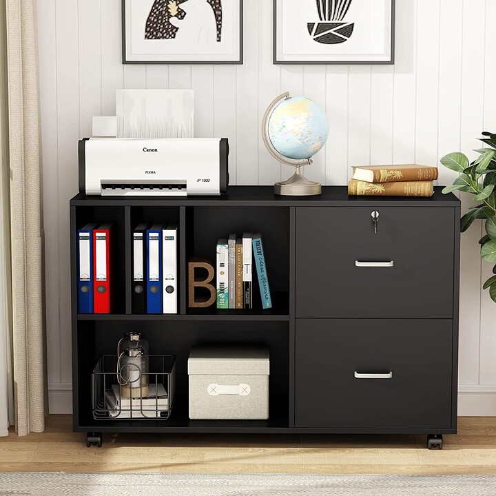 Farfarview 2 Drawer Lateral File with Lock and Shelves, Mobile