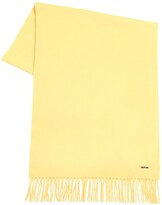 Thumbnail for your product : Loro Piana Cashmere Fringed Scarf