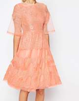 Thumbnail for your product : ASOS SALON Lace And Organza Midi Dress