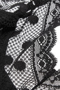 Mimi Holliday Rockhopper Penguin lace-trimmed silk camisole
