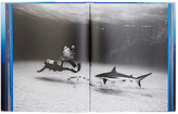Thumbnail for your product : Taschen Michael Muller: Sharks, Face-To-Face With The Ocean's Endangered Predator