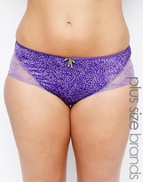 Thumbnail for your product : Elomi Jocelyn Brief