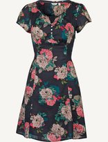 Thumbnail for your product : Fat Face Brecon Rose Bouquet Dress