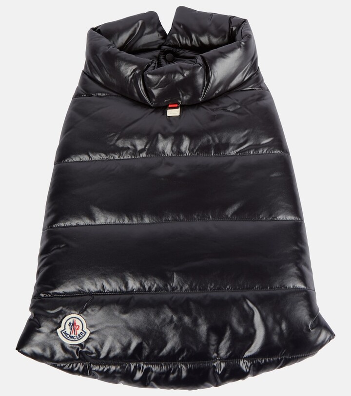 MONCLER GENIUS x Poldo Dog Couture dog coat