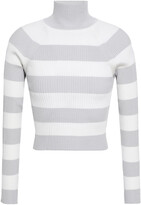 Thumbnail for your product : Zimmermann Striped Ribbed-knit Turtleneck Sweater
