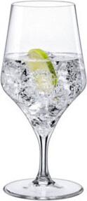 RONA Aram 14 oz. Water Glass