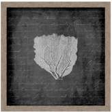 Thumbnail for your product : PTM Images Sea Fan II Wall Art