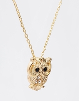 Thumbnail for your product : ASOS CURVE Cute Owl Necklace