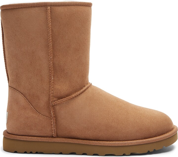 uggs for men brown