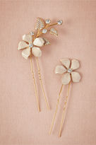 Thumbnail for your product : BHLDN Clematis Pins (2)