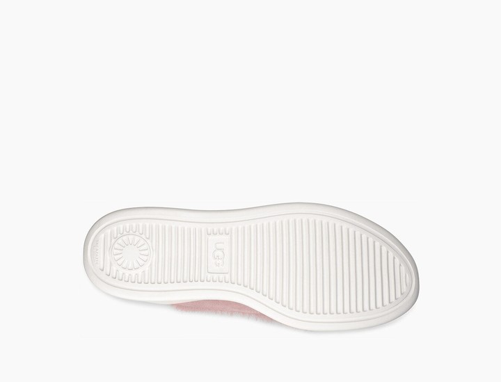 griffith trainer ugg