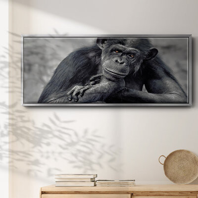 Wexford Home Captivated- Framed Canvas