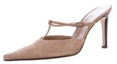 Thumbnail for your product : Sergio Rossi Suede Pointed-Toe Mules