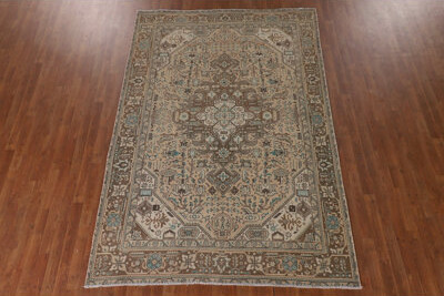 Isabelline Vintage Geometric Traditional Area Rug 6x9