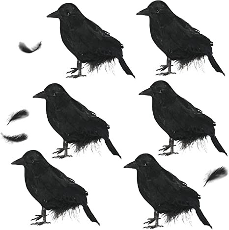 UCSAJI 6PCS Halloween Black Realistic Crow Halloween Props Black Feathered Crow Simulation Animal Model for Party Decoration