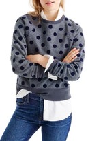Thumbnail for your product : J.Crew Women's Textured Polka Dot Raglan Sweatshirt