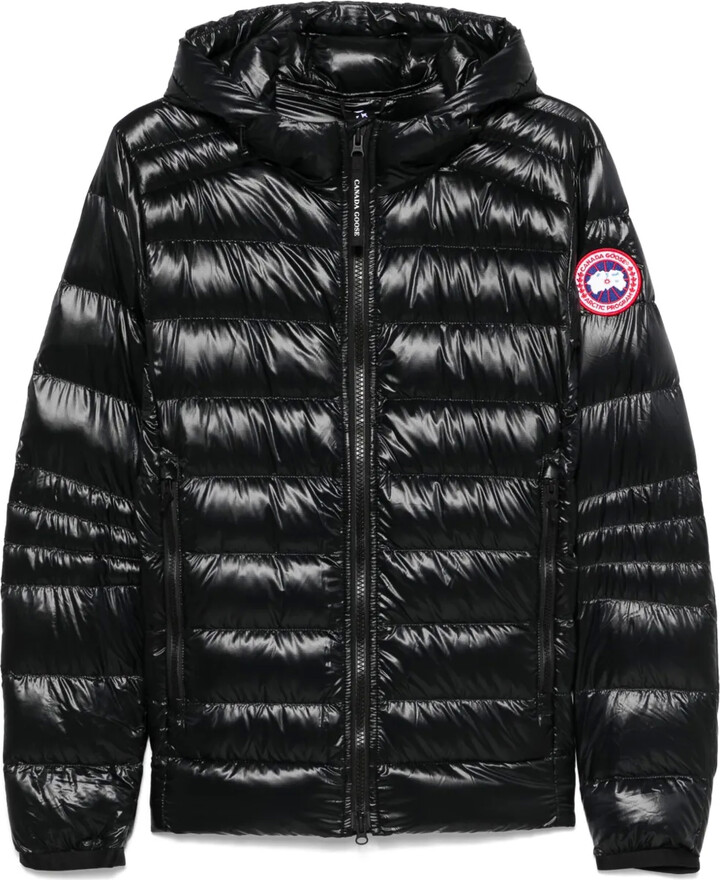 crofton canada goose