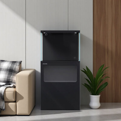 Layered Back-Filtration System Ecological Stream Aquarium Tank