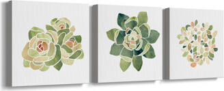 Red Barrel Studio Succulent Cameo XV - 3 Piece Wrapped Canvas Painting Set