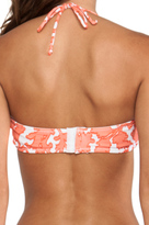 Thumbnail for your product : Shoshanna Coral Reef Bandeau Bikini Top