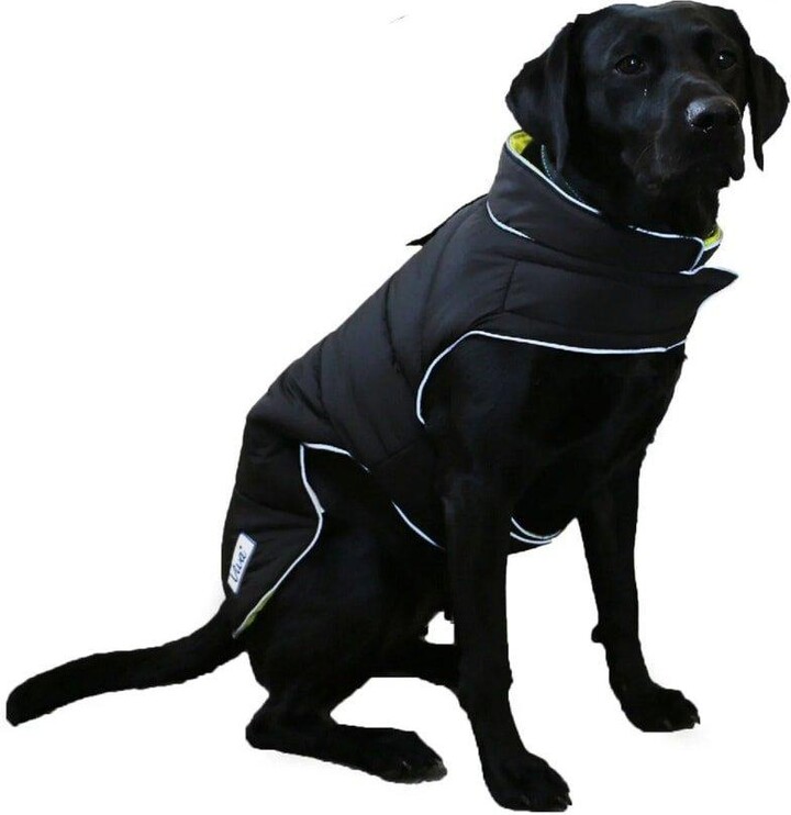 Ancol Viva Hi-Vis Reversible Dog Coat - ShopStyle Pet Clothing