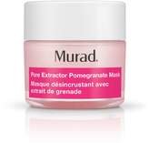 Thumbnail for your product : Murad Pomegranate Extractor Mask