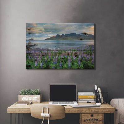Nootka Lupines I, Stodvarfjordur Fjord, Austurland, Iceland
