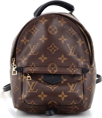 EUC LV limited edition “Palm Springs” backpack