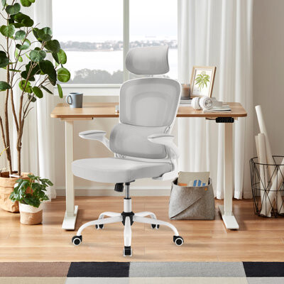 Inbox Zero High Back Ergonomic Mesh Office Chair