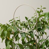 Thumbnail for your product : Oui Set Of 2 Plant Trellises