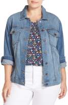 Thumbnail for your product : KUT from the Kloth Helena Distressed Denim Jacket