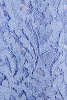 Thumbnail for your product : No.21 Polly cotton-blend lace shorts