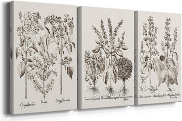 Alcott Hill Sepia Besler Botanicals I -Custom Wrapped Gallery Canvas - 3 Pieces
