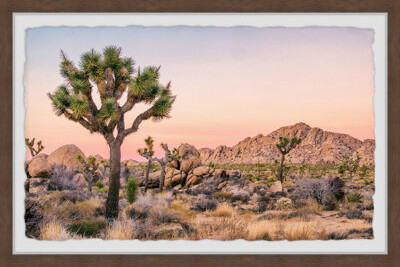 Foundry Select Desert and Boulders - Picture Frame Photograph