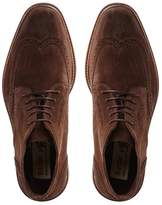 Thumbnail for your product : BERTIE MENS CANISTER - Wingtip Brogue Boot