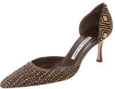 Thumbnail for your product : Manolo Blahnik Ponyhair d'Orsay Pumps