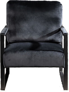 George Oliver Classic Mid Century Modern Accent Chair With Durable Square Metal Frame, Armchair For Living Room, Bedroom, Home Office In Plush Velvet Upholstery