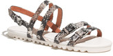 Thumbnail for your product : Madewell The Clemente Sandal in Snakeskin