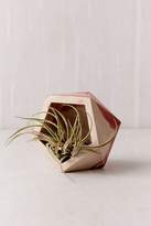 Thumbnail for your product : Urban Outfitters Concrete Geometric X Icosahedron Marble Planter