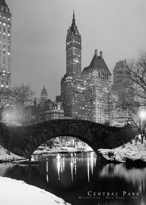 Poster Revolution NYC - Central Park, 1961 Photo Print Poster - 24x36