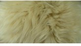 Thumbnail for your product : The Well Appointed House Double Modern Country Sheepskin Rug