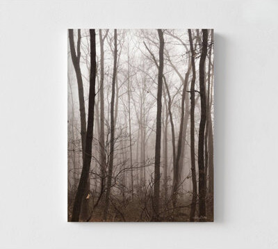 WeFrameArt Red Oak Forest Photo Lake Airbnb Wall Art, Dark Misty Forest Photography Grandma Living Room Art, Foggy Forest House Artwork