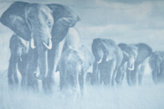 Thumbnail for your product : Roda Elephant-Print Scarf