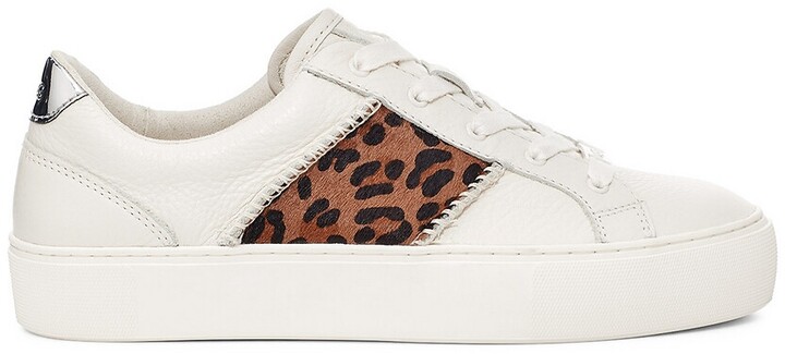 leopard trainers womens