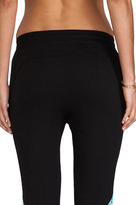 Thumbnail for your product : Pencey Combo Fleece Pant