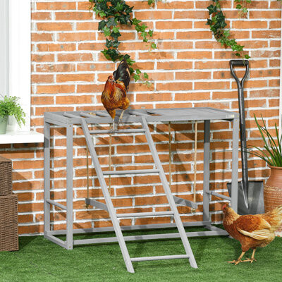 Gray Chicken Activity Play With Swing And , Wooden Coop Accessory For 3 To 4 Birds - Promotes Healthier Behavior Physical Being , Strengthens Chicken'