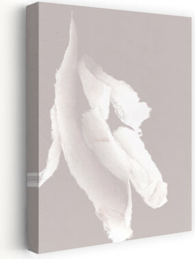 Latitude Run Whispering Paper I Abstract Delicate Organic Art