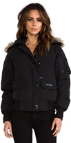 Thumbnail for your product : Canada Goose Chilliwack Bomber with Coyote Fur trim